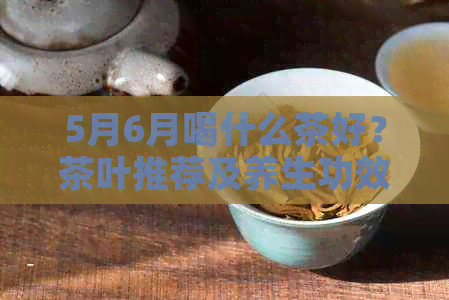 5月6月喝什么茶好？茶叶推荐及养生功效解析