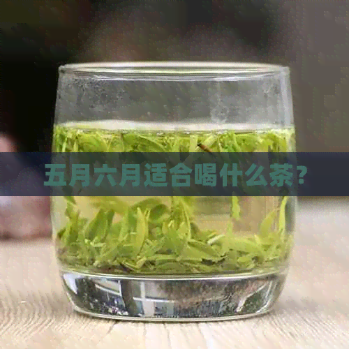 五月六月适合喝什么茶？