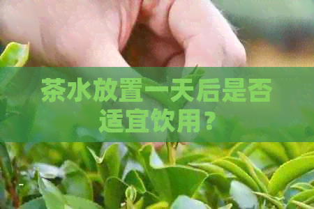 茶水放置一天后是否适宜饮用？