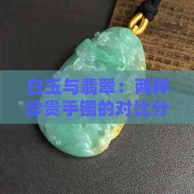 白玉与翡翠：两种珍贵手镯的对比分析及其区别探讨