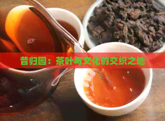 昔归园：茶叶与文化的交织之地