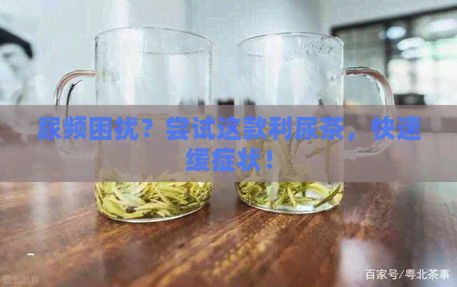 尿频困扰？尝试这款利尿茶，快速缓症状！