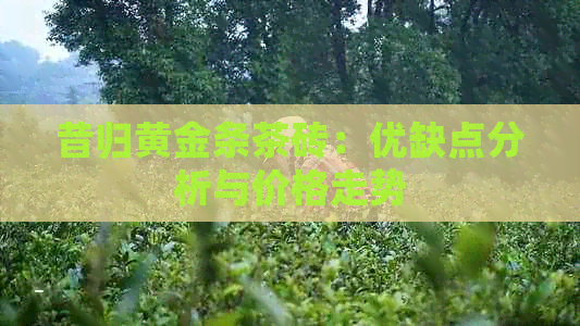 昔归黄金条茶砖：优缺点分析与价格走势