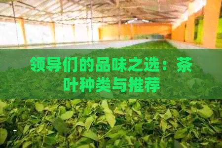 领导们的品味之选：茶叶种类与推荐