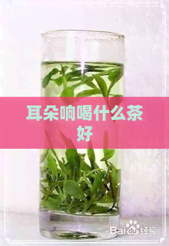 耳朵响喝什么茶好