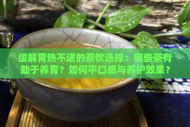 缓解胃热不适的茶饮选择：哪些茶有助于养胃？如何平口感与养护效果？