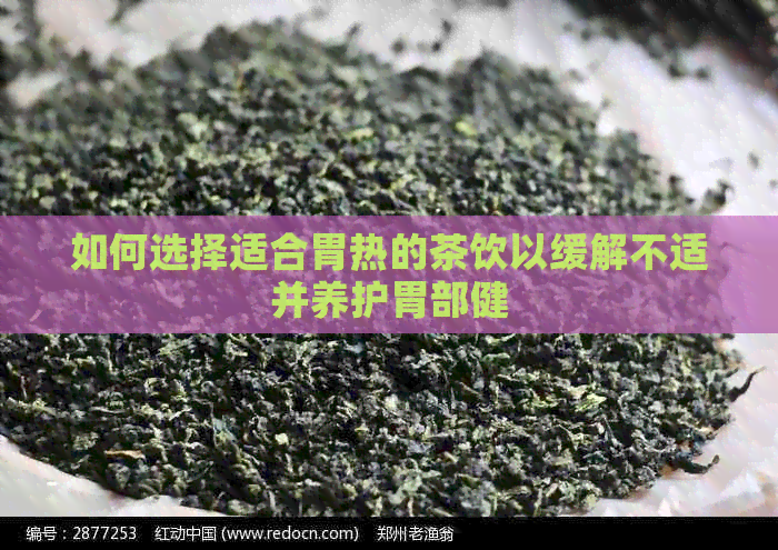 如何选择适合胃热的茶饮以缓解不适并养护胃部健