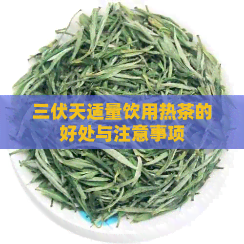 三伏天适量饮用热茶的好处与注意事项