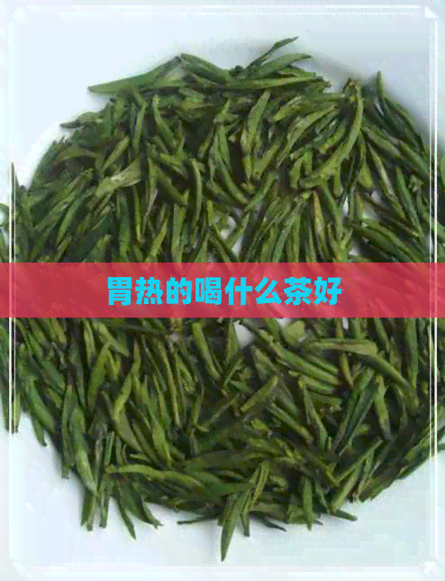 胃热的喝什么茶好