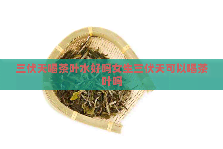 三伏天喝茶叶水好吗女生三伏天可以喝茶叶吗