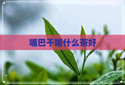 嘴巴干喝什么茶好