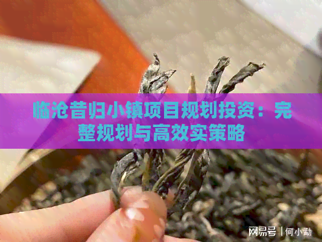 临沧昔归小镇项目规划投资：完整规划与高效实策略