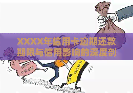 XXXX年信用卡逾期还款期限与信用影响的深度剖析