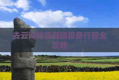 去云南找旅游团报备行程全攻略