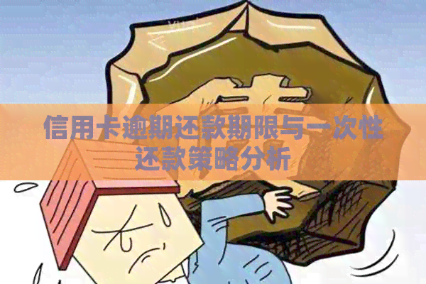 信用卡逾期还款期限与一次性还款策略分析