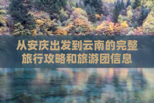 从安庆出发到云南的完整旅行攻略和旅游团信息