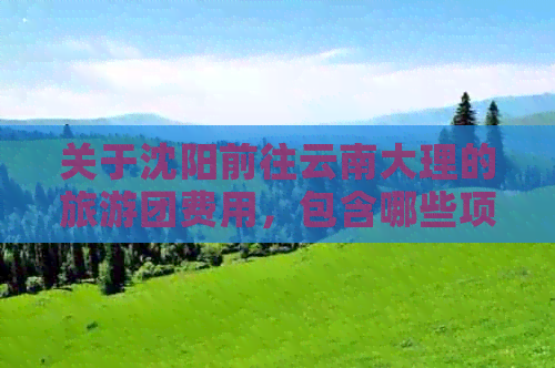 关于沈阳前往云南大理的旅游团费用，包含哪些项目和景点？