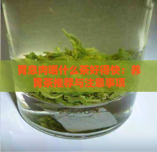 胃息肉喝什么茶好得快：养胃茶推荐与注意事项