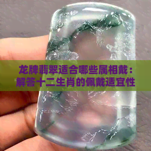 龙牌翡翠适合哪些属相戴：解答十二生肖的佩戴适宜性