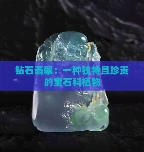 钻石翡翠：一种独特且珍贵的宝石科植物