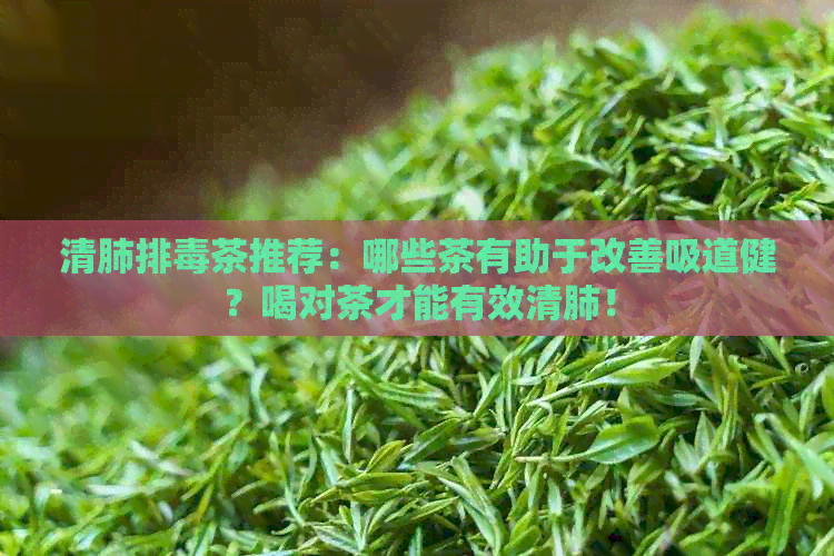 清肺排茶推荐：哪些茶有助于改善吸道健？喝对茶才能有效清肺！