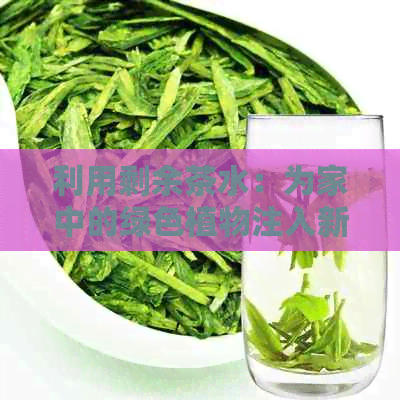 利用剩余茶水：为家中的绿色植物注入新活力