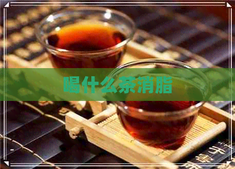 喝什么茶消脂