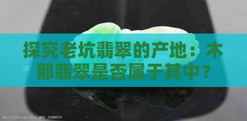 探究老坑翡翠的产地：木那翡翠是否属于其中？