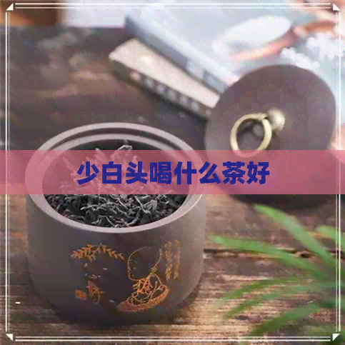 少白头喝什么茶好