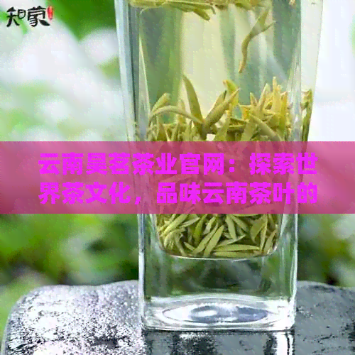 云南昊茗茶业官网：探索世界茶文化，品味云南茶叶的魅力与品质