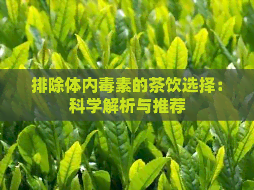 排除体内素的茶饮选择：科学解析与推荐