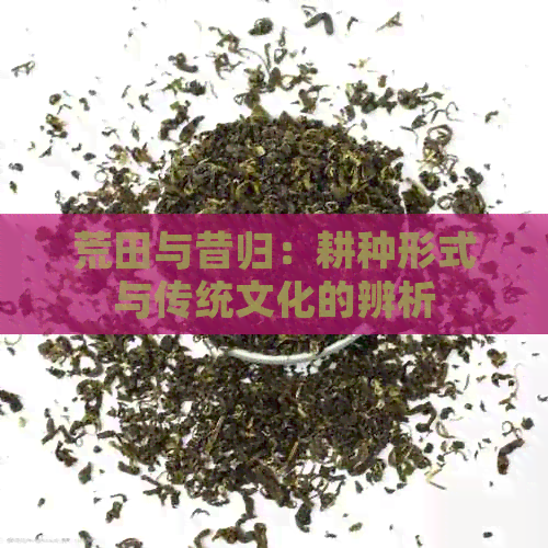 荒田与昔归：耕种形式与传统文化的辨析