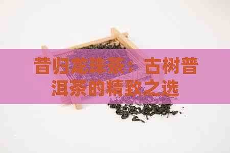 昔归龙珠茶：古树普洱茶的精致之选