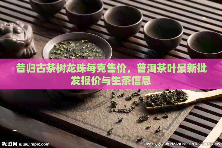 昔归古茶树龙珠每克售价，普洱茶叶最新批发报价与生茶信息