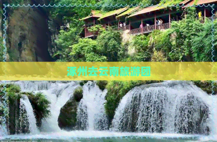 涿州去云南旅游团