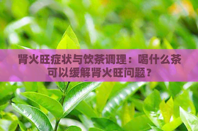 肾火旺症状与饮茶调理：喝什么茶可以缓解肾火旺问题？