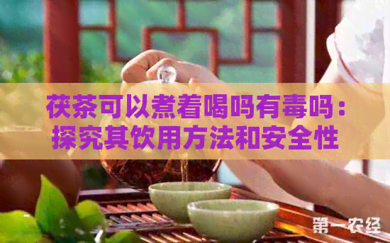 茯茶可以煮着喝吗有吗：探究其饮用方法和安全性