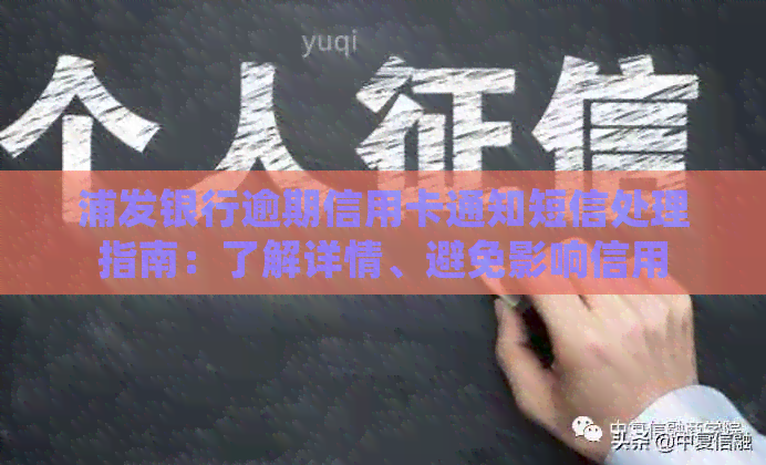 浦发银行逾期信用卡通知短信处理指南：了解详情、避免影响信用