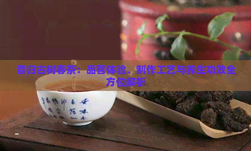 昔归古树春茶：品茗体验、制作工艺与养生功效全方位解析