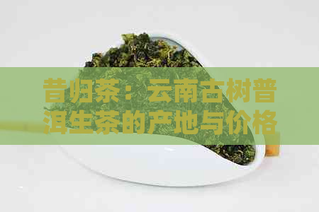 昔归茶：云南古树普洱生茶的产地与价格分析