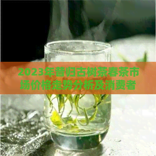 2023年昔归古树茶春茶市场价格走势分析及消费者购买指南