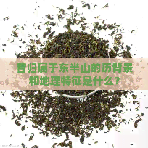 昔归属于东半山的历背景和地理特征是什么？