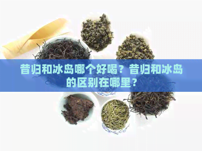 昔归和冰岛哪个好喝？昔归和冰岛的区别在哪里？