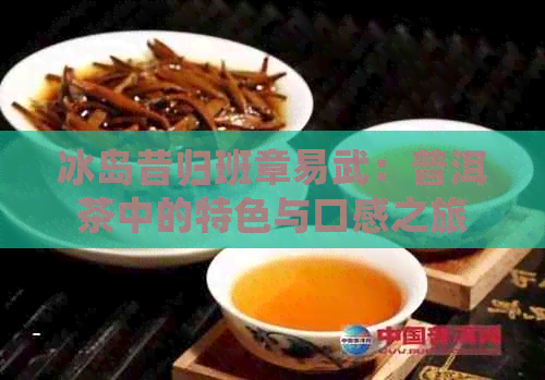 冰岛昔归班章易武：普洱茶中的特色与口感之旅