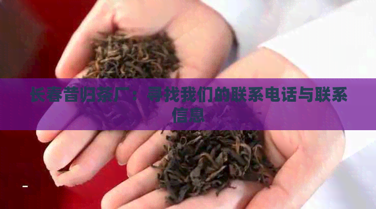 长春昔归茶厂：寻找我们的联系电话与联系信息