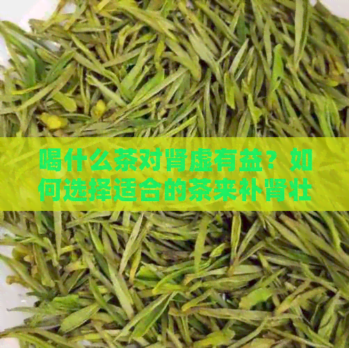 喝什么茶对肾虚有益？如何选择适合的茶来补肾壮阳？