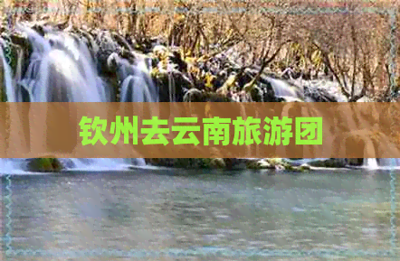 钦州去云南旅游团