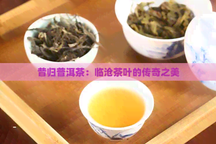 昔归普洱茶：临沧茶叶的传奇之美