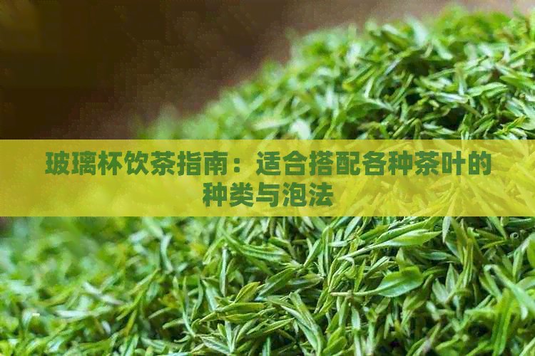 玻璃杯饮茶指南：适合搭配各种茶叶的种类与泡法