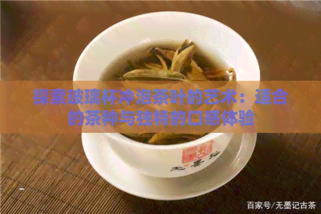 探索玻璃杯冲泡茶叶的艺术：适合的茶种与独特的口感体验